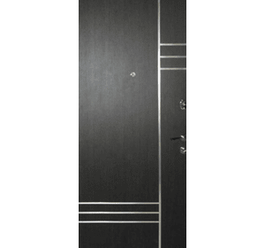 Вхідні металеві двері (зразок 119)