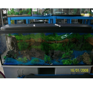 Декорації для акваріума