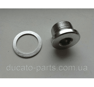 Пробка піддона олійного (M22x1.5) Fiat Ducato 16993411, 016388, 031125