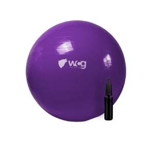 М'яч для фітнесу (фітбол) WCG 65 Anti-Burst 300кг Фіолетовий + насос