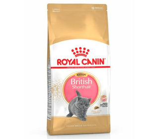 ROYAL CANIN Котята британской короткошерстной до 12 месяцев. 10 кг
