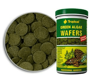 Корм Tropical Green Algae Wafers 75 мл