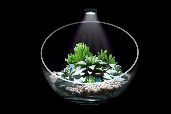 Wabi Set - декоративный аквариумный набор - NaVolyni.com