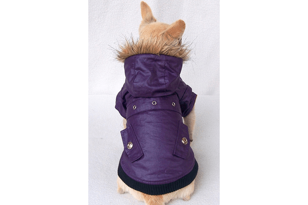Free Dogs курточка с карманами сиреневая S - NaVolyni.com