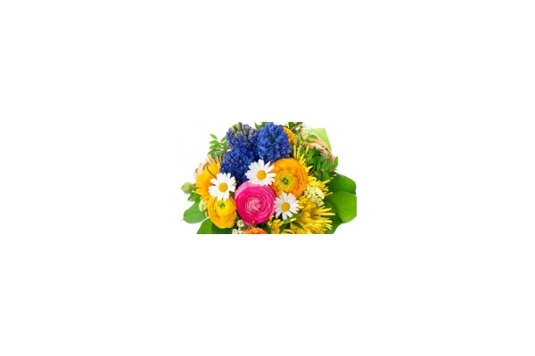 Насіння квітів - NaVolyni.com
