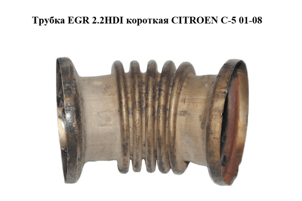 Трубка EGR 2.2HDI короткая CITROEN C-5 01-08 (СИТРОЕН Ц-5) (1628LX) - NaVolyni.com
