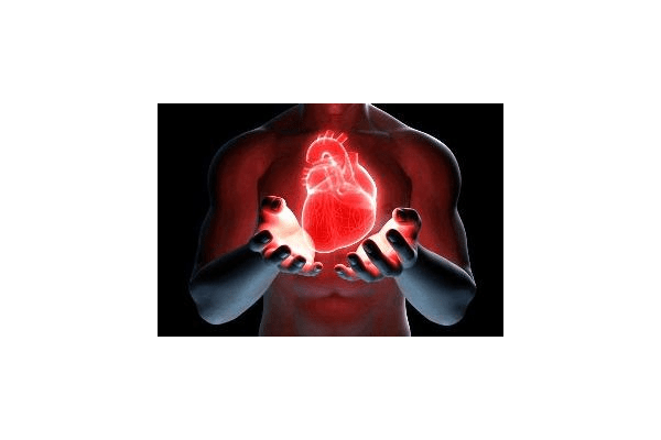Лікування серцево-судинної системи - NaVolyni.com