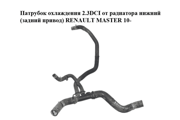 Патрубок охлаждения 2.3DCI от радиатора нижний (задний привод) RENAULT MASTER 10-(РЕНО МАСТЕР) (215030063R) - NaVolyni.com