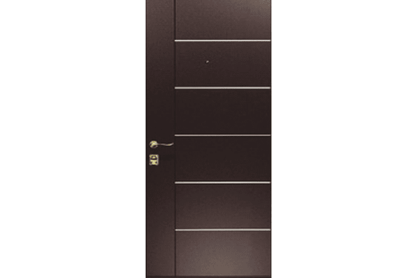 Вхідні металеві двері (зразок 111) - NaVolyni.com