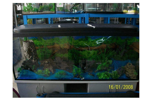 Декорації для акваріума - NaVolyni.com