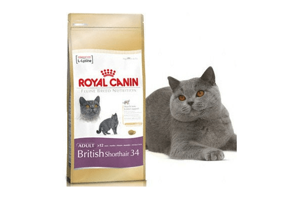 Royal Canin British Shorthair Британская короткошерстная 10 кг - NaVolyni.com
