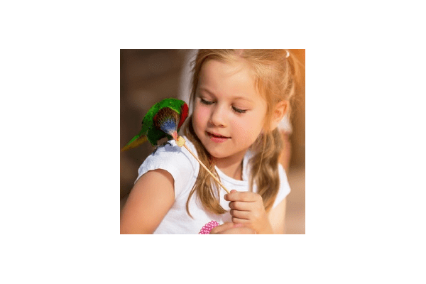 Здоровое питание декоративных птиц - NaVolyni.com