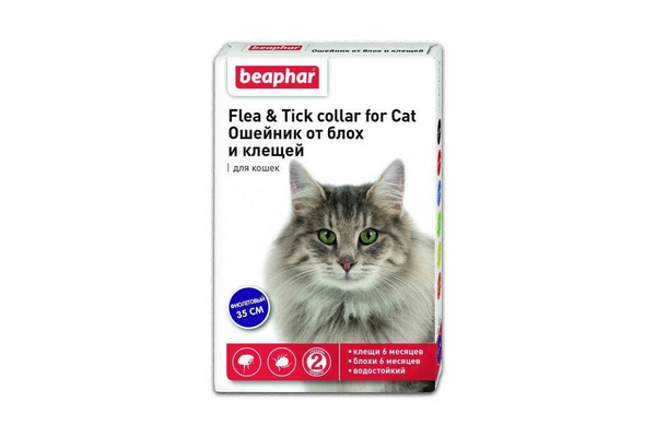 Ошейник Beaphar против блох и клещей для кошек, фиолетовый, 35 см - NaVolyni.com